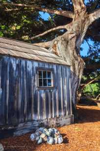 Whaler's Cabin-1817.jpg Whaler's Cabin-1817.jpg